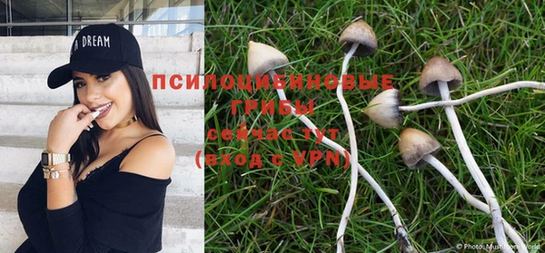 ECSTASY Заволжск
