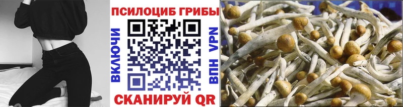 Галлюциногенные грибы MAGIC MUSHROOMS  Купить  Ленинск 